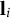 bold l Subscript i