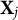 bold upper X Subscript j