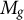 upper M Subscript g