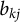 b Subscript k j