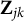 bold upper Z Subscript j k
