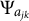 normal upper Psi Subscript a Sub Subscript j k