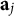 bold a Subscript j