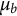 mu Subscript b