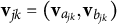 bold v Subscript j k Baseline equals left parenthesis bold v Subscript a Sub Subscript j k Subscript Baseline comma bold v Subscript b Sub Subscript j k Subscript Baseline right parenthesis