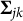 bold upper Sigma Subscript j k