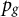 p Subscript g