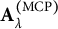 bold upper A Subscript lamda Superscript left parenthesis upper M upper C upper P right parenthesis