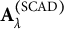 bold upper A Subscript lamda Superscript left parenthesis upper S upper C upper A upper D right parenthesis
