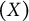 left parenthesis upper X right parenthesis