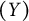 left parenthesis upper Y right parenthesis