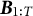 bold italic upper B Subscript 1 colon upper T