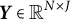 bold italic upper Y element of double struck upper R Superscript upper N times upper J