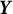 bold italic upper Y