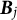 bold italic upper B Subscript j