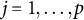 j equals 1 comma ellipsis comma p