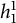 h 1 Superscript 1