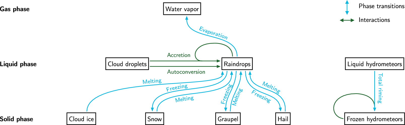 A flowchart illustrating microphysical processes and phase transitions between water vapor and five hydrometeor categories across gas, liquid, and solid phases. See long description.