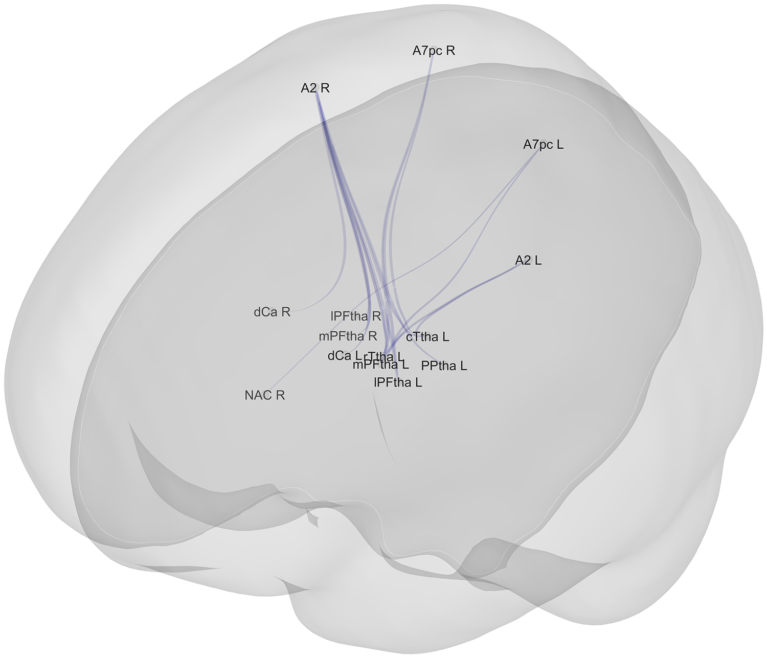 A three dimensional brain model showing negative connectivity associations between subcortical regions and cortical areas. See long description.