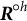 bold italic upper R Superscript ring h