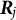 bold italic upper R Subscript j
