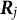 bold italic upper R Subscript j
