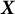 bold italic upper X