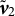 bold italic v overtilde Subscript 2