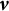 bold italic v