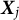 bold italic upper X Subscript j