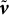 bold italic v overtilde