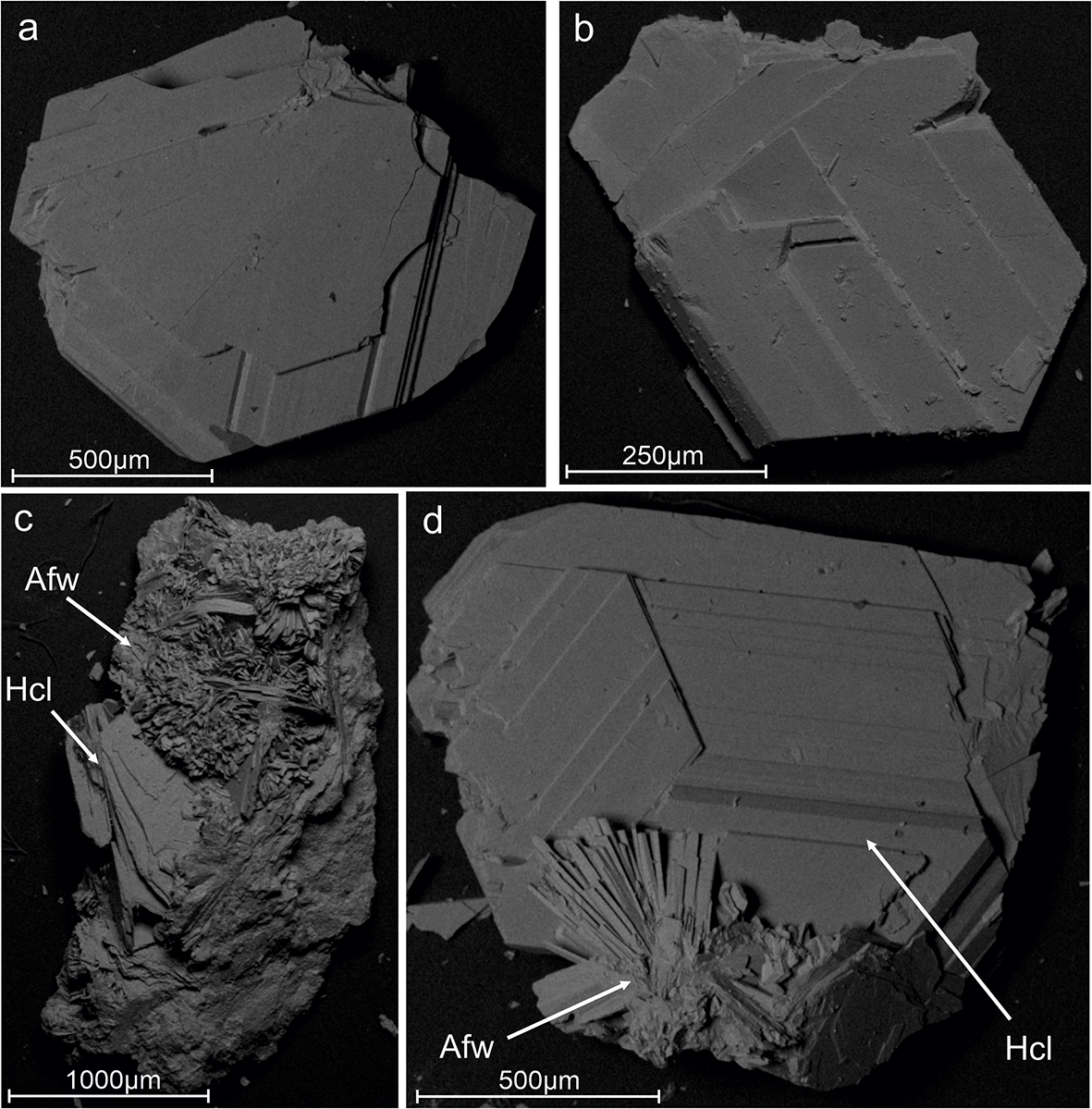 Content of image described in text/caption. See long description.