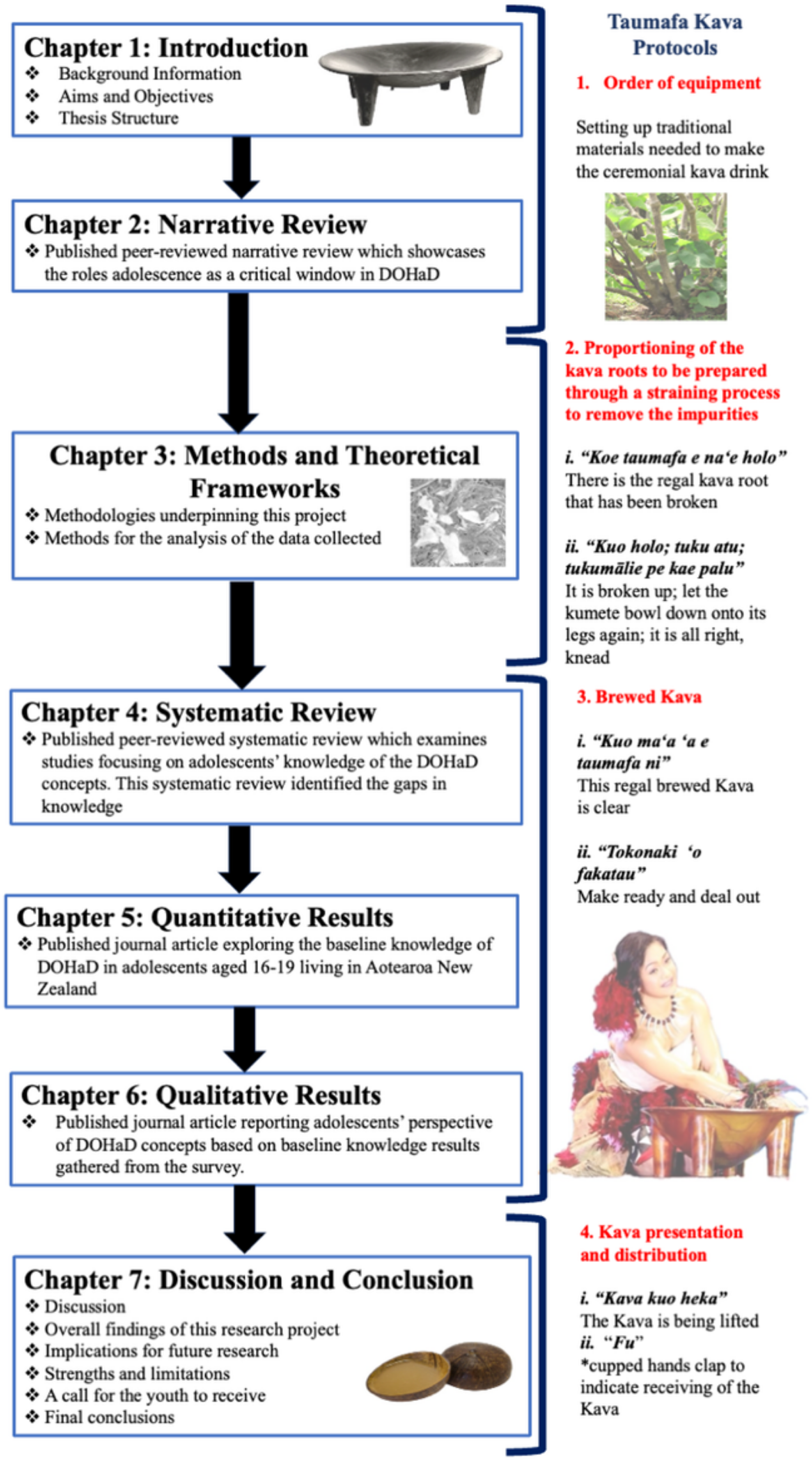 Diagram illustrating a thesis structure alongside traditional kava preparation steps.