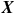 bold italic upper X