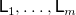 sans serif upper L 1 comma ellipsis comma sans serif upper L Subscript m Baseline