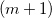 left parenthesis m plus 1 right parenthesis