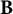 bold upper B