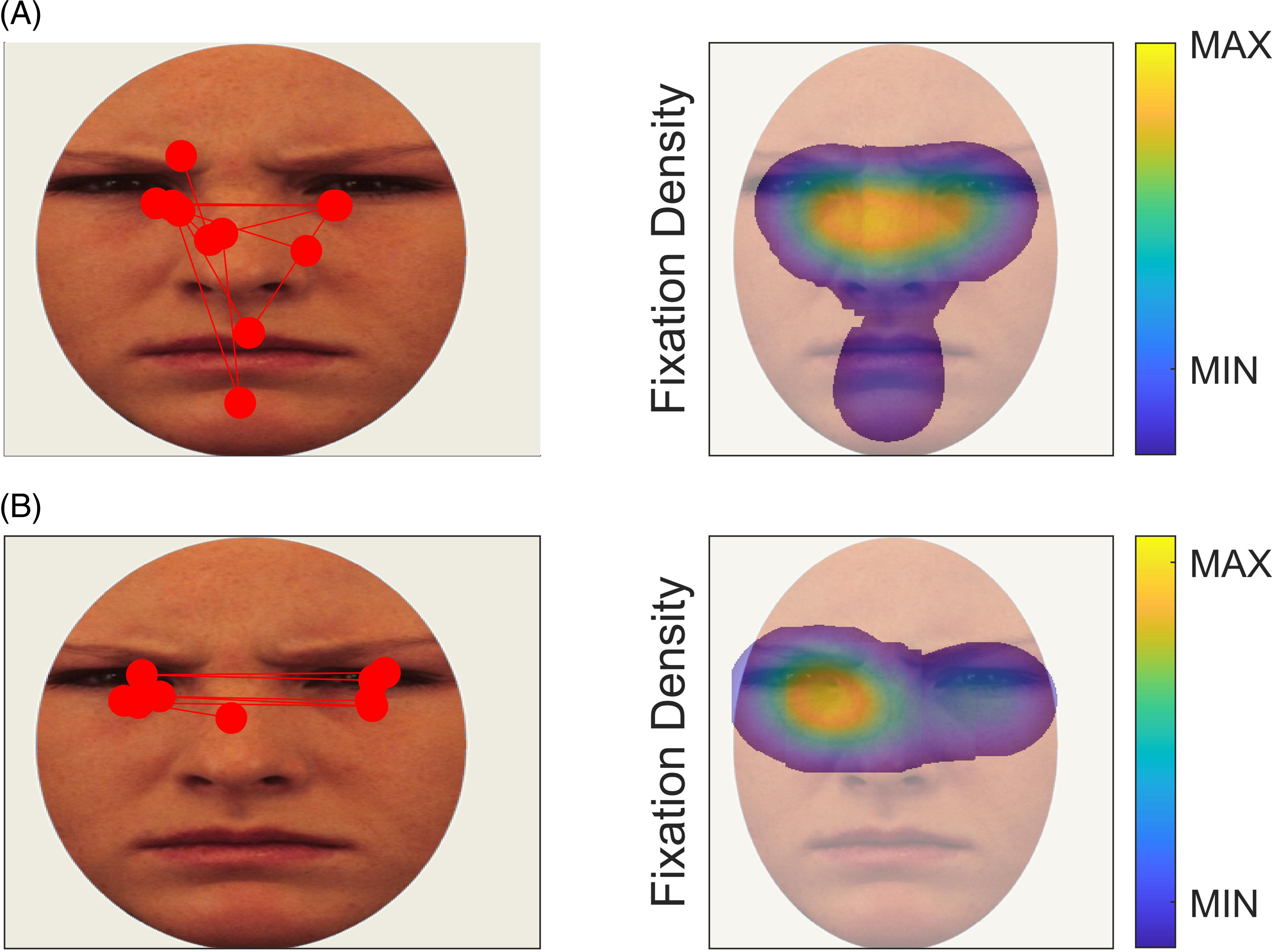 Two panels showing fixation points and heat maps of fixation density on a face.