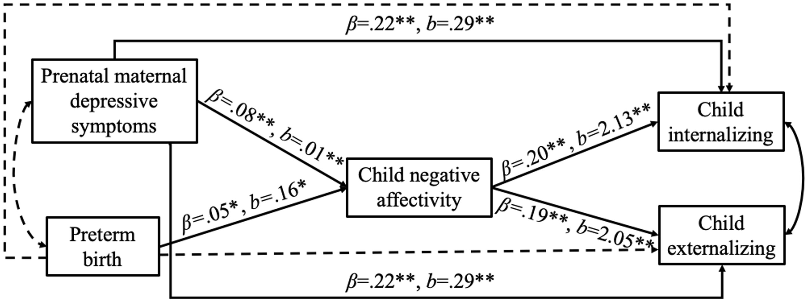 A diagram showing relationships among perinatal complications, child negative affectivity, and child internalizing and externalizing problems.