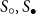 upper S Subscript ring Baseline comma upper S Subscript bullet Baseline