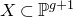 upper X subset of double struck upper P Superscript g plus 1