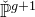 ModifyingAbove double struck upper P With ˇ Superscript g plus 1