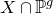 upper X intersection double struck upper P Superscript g