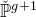 ModifyingAbove double struck upper P With ˇ Superscript g plus 1
