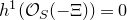 h Superscript 1 Baseline left parenthesis script upper O Subscript upper S Baseline left parenthesis negative normal upper Xi right parenthesis right parenthesis equals 0