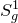upper S Subscript g Superscript 1