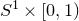 upper S Superscript 1 Baseline times left bracket 0 comma 1 right parenthesis