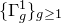 left brace normal upper Gamma Subscript g Superscript 1 Baseline right brace Subscript g greater than or equals 1