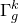 normal upper Gamma Subscript g Superscript k