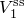 upper V 1 Superscript normal s normal s
